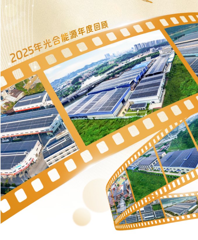 Review of the Photosynthetic Energy Project